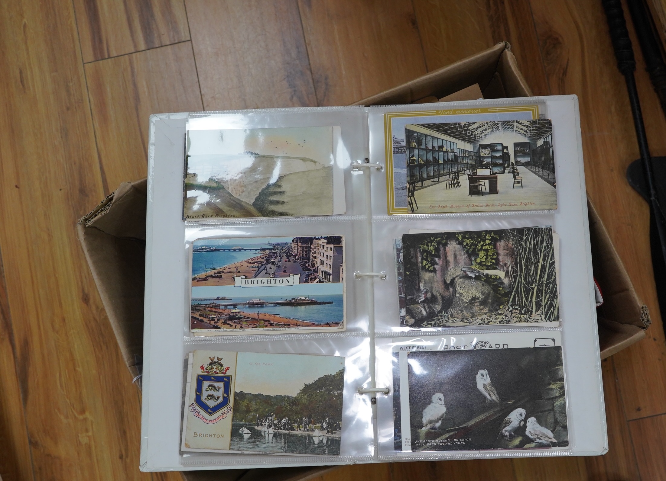 A collection of Brighton postcards and ephemera. Condition - varies
